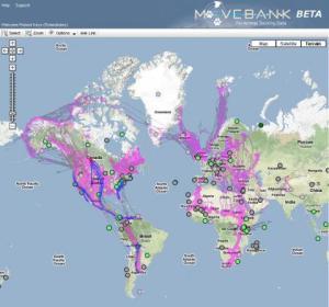 Using Movebank to track and share animal movement data